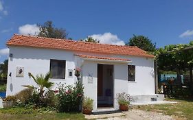 The Cottage Near The Lake